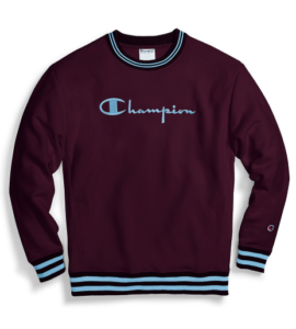 Champion Sweater